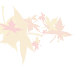 TEST_Simple Color_70
