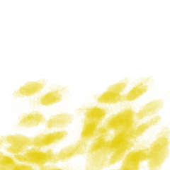 TEST_Simple Color_100
