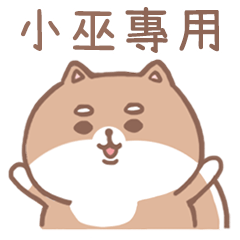 misty cat-Shiba Inu (ID-39)