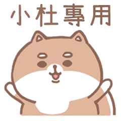 misty cat-Shiba Inu (ID-38)
