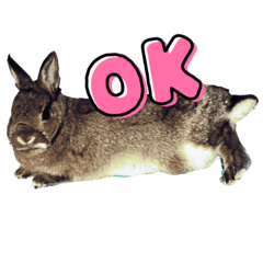 Nayuko_20220725224143