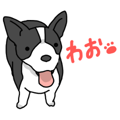 the sticker of black and white dogs