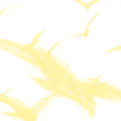 TEST_Simple Color_33