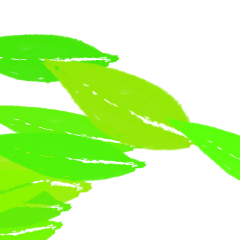 TEST_Simple Color_38