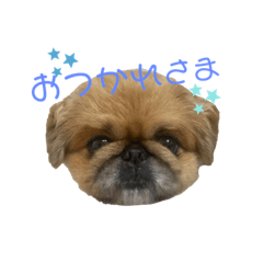 maichi_20220726135512