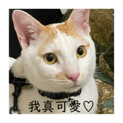 咕嚕阿嚕嚕嚕