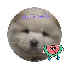 Arisa_20220726135720