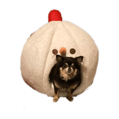 mizuki_20220726214358