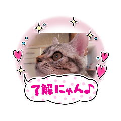 MEGUMI_20220726221901