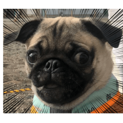 seiji_20220726212257