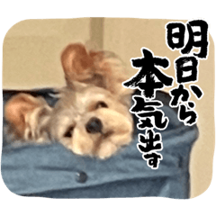 yuka_20220726135018