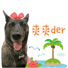 中年婦女陳阿嬌