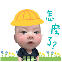 冬瓜賣萌日常
