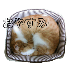 chisa_20220726224841