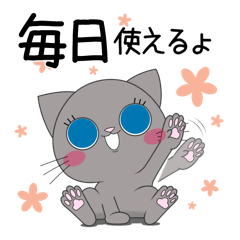 [Use every day!] Russian Blue Ao-chan