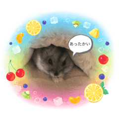 yuto_20220727081515