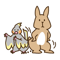 Rabbit and parakeet