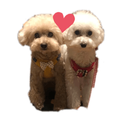 Mayuyu_20220726225705