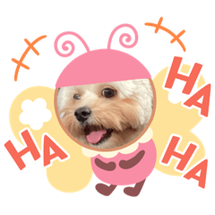 AKARI_20220727010926