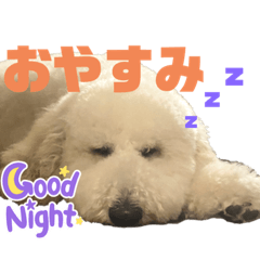 Kosuke_20220726203309