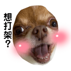 比姐一定要認識一下