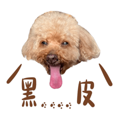 黑皮的黑皮