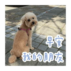 Zhang Yu Wen_20220727101129