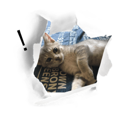 mizuki_20220726233530