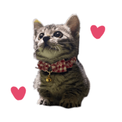 Shiho_20220727003320