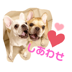 Alice_20220727151405