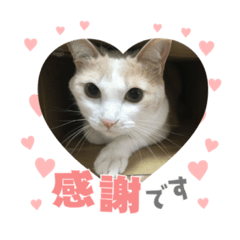 misa_20220727165438
