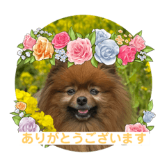 Natsumi_20220727161040