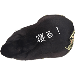 hikaru_20220727190020
