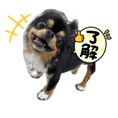 yamada_20220727182528
