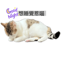 魯一下口苗口苗