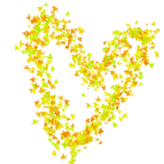 TEST_Sweet Heart_66