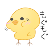 hiyokko's daily life
