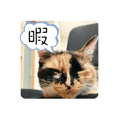 hanabi  and friends