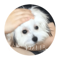 hikari_20220727231621