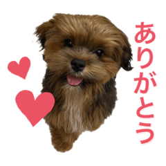 hana_20220727232545