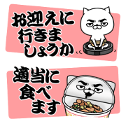 Nekomen-Friends&Family contact-