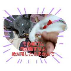 masakichi_20220727234653
