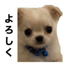 omochi_20220728140540