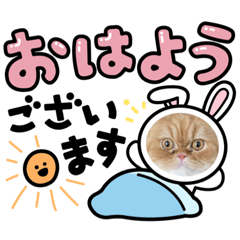 yuka_20220728104517