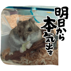 yuto_20220728164614