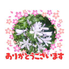Megumi_20220728115302