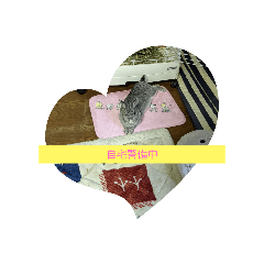 smile_20220728141749