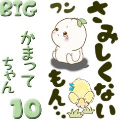 【Big】植物の妖精『さみしがり』10