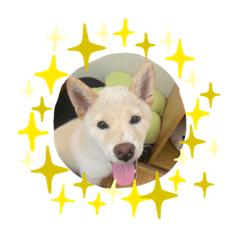 saori_20220728180127