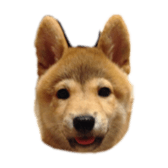 hana_20220729063952